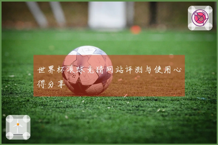世界杯滚球竞猜网站评测与使用心得分享