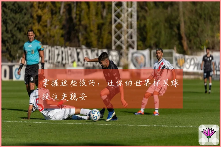 掌握这些技巧，让你的世界杯买球投注更稳妥