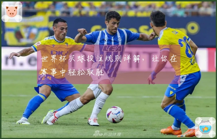 世界杯买球投注规则详解，让你在赛事中轻松取胜