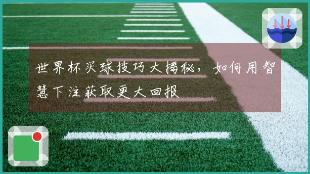 世界杯买球技巧大揭秘，如何用智慧下注获取更大回报